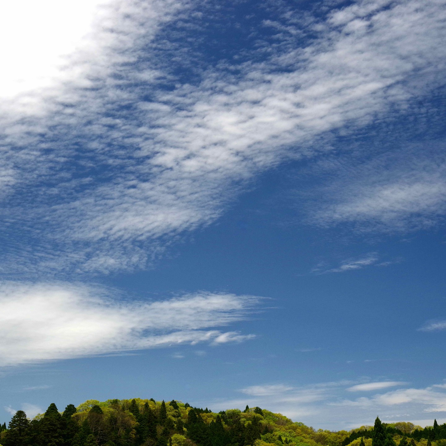 今日は空が綺麗でした。新緑の山。空と雲のコントラスト。綺麗な空気！　　都会の人に分けてあげたい気分です。　　　　　　　　#pentax#農家ときどき写真家#農村 #農村かさぎ #写真家#田舎の風景#農業 #農家#集落営農 #笠木営農組合 #だんだん