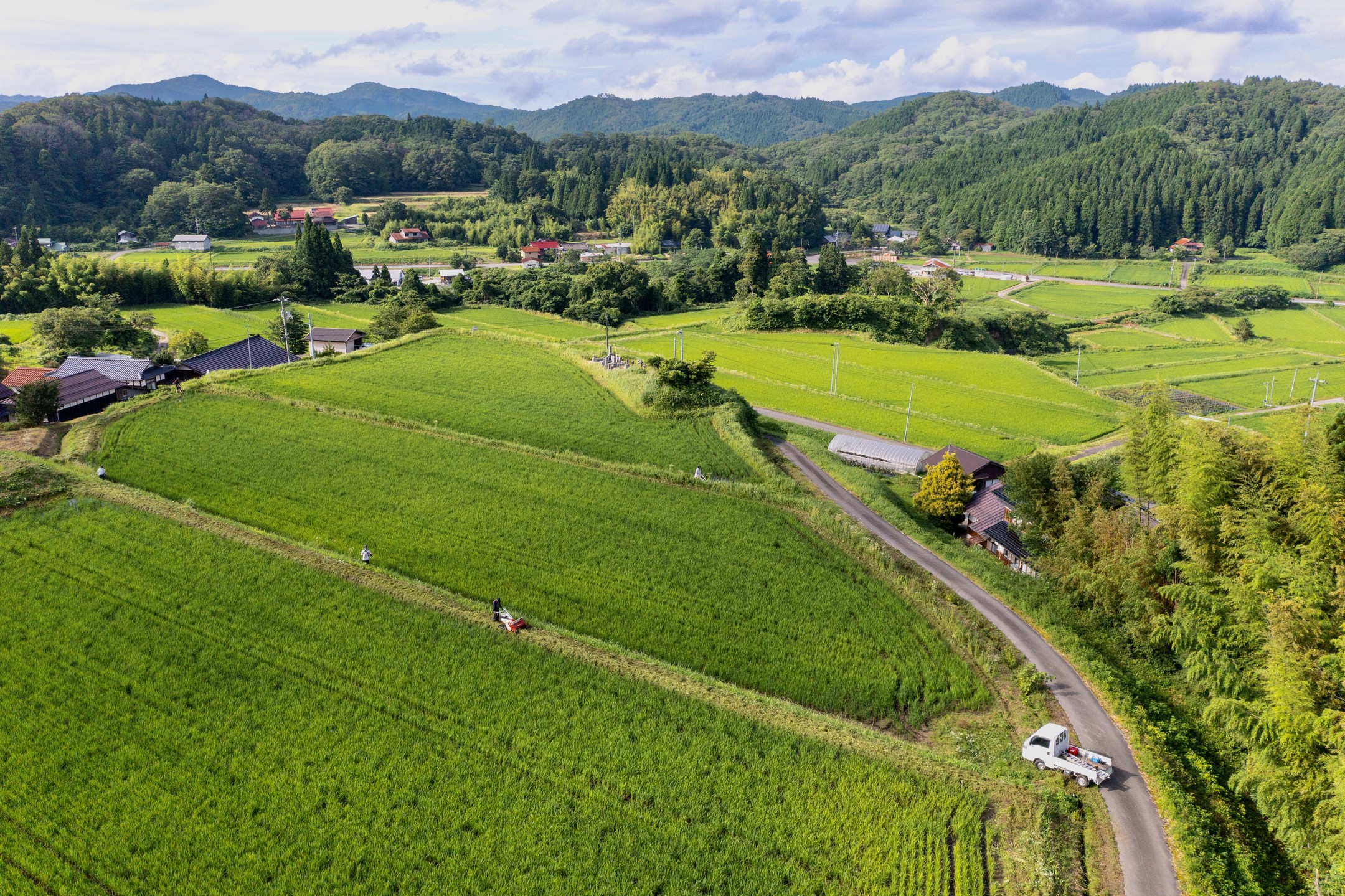 農村かさぎの今。　この圃場はコシヒカリです。例年８月３〜５日位が出穂ですが、今年も暑いので少し早い出穂になるかも知れません。モチは連休前の田植え圃場では出穂し始めています。　　良質な米しか扱わないと定評ある、松江市の藤本米穀から今年から納品数を増やすように嬉しい注文をいただきました。知る限り、県外産は魚沼、秋田、宮城、農村かさぎのコシヒカリの４ヶ所の様です。藤本米穀で扱って頂けることは産地の誇りです。　　　　　　　　　　　　　　　　　　#pentax#農家ときどき写真家#農村 #農村かさぎ #写真家#田舎の風景#農業 #農家#集落営農 #笠木営農組合 #だんだん