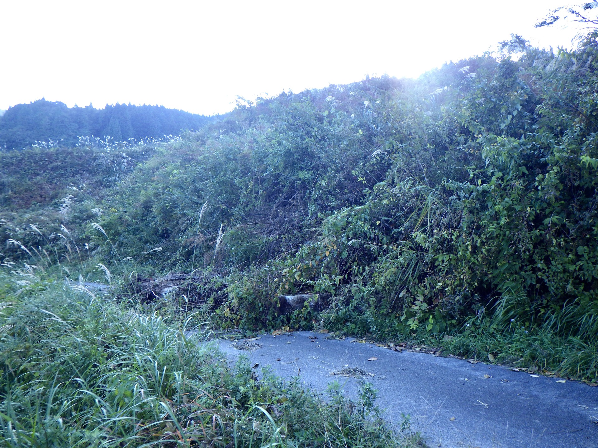 農村かさぎ　　大雨被害が発生しました。（有）だんだん、一社）笠木営農組合の直営圃場ではありませんが３件の被害が生じました。　災害認定になれば、地元負担金は『笠木災害復旧基金』から支出します。　　　　積み立てを開始してから５件目の支出となります。「農村かさぎ」の安心農業の一環でもあります。　　　　　　　　　　　　　　　#pentax#農家ときどき写真家#農村 #農村かさぎ #写真家#田舎の風景#農業 #農家#集落営農 #笠木営農組合 #だんだん