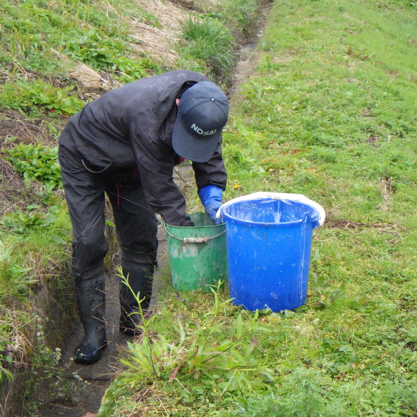 農村かさぎ　　　水路の流水が切れた間にU字溝に出来た隙間をコンクリートで目詰めをしています。漏水による畦畔崩れを防止する大切な作業です。　　　　　　　　　　　　　#pentax#農家ときどき写真家#農村 #農村かさぎ #写真家#田舎の風景#農業 #農家#集落営農 #笠木営農組合 #だんだん